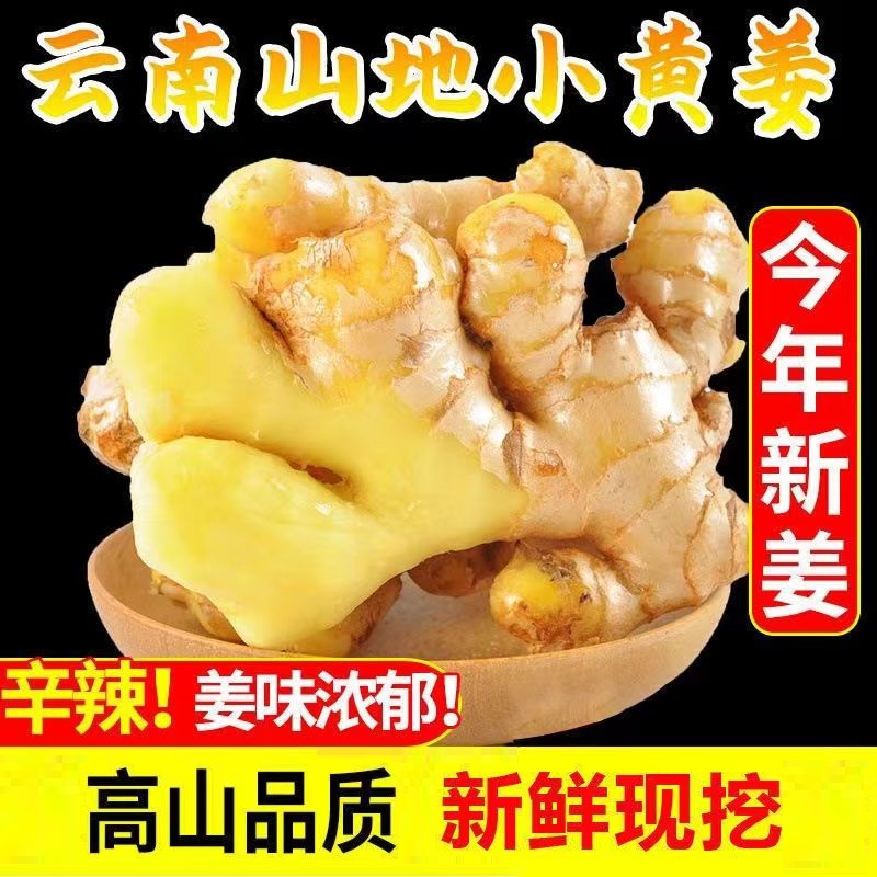 【正宗】云南小黄姜美味辛辣姜味浓郁新鲜现挖山地种植生姜产地直发