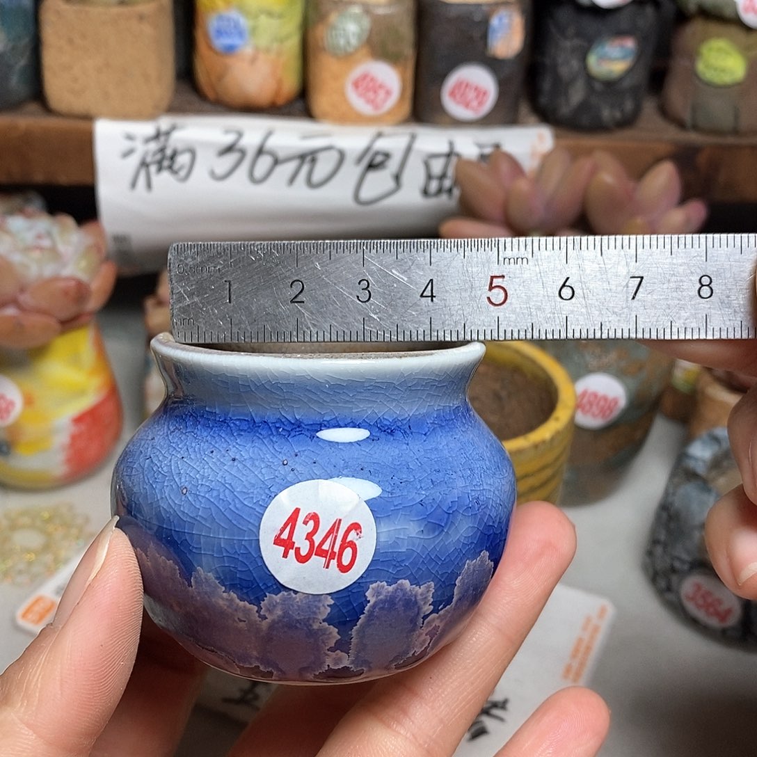 红陶拍5送一个小