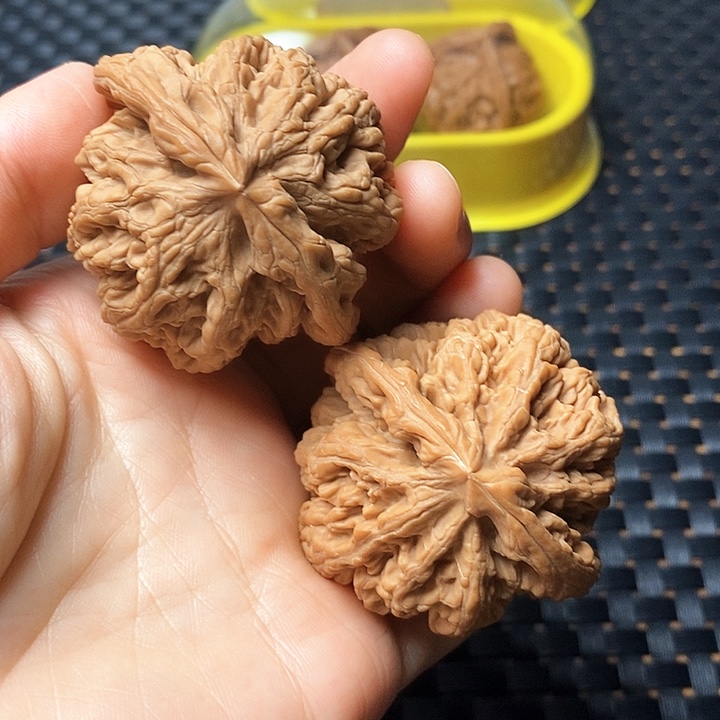 把件文玩核桃粗筋