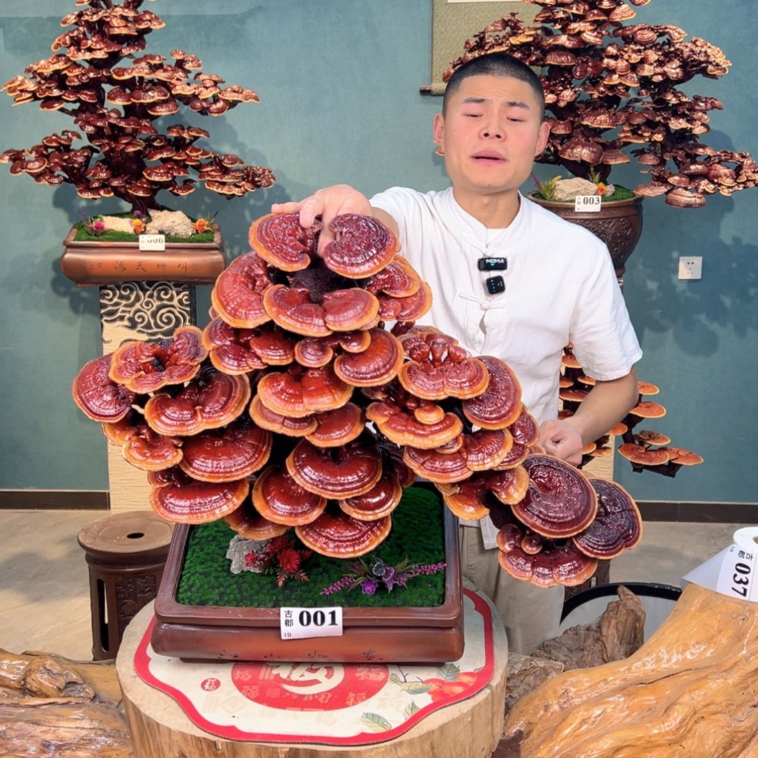 无花朵888888888888