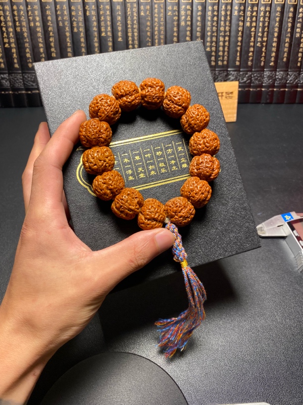 新品树王梅花金刚菩提：8号