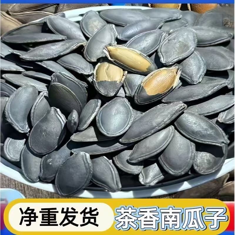新货茶香味南瓜子茶味美人甲南瓜子饱满大粒炒货休闲零食