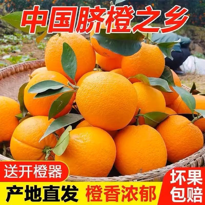 【金牌果】不甜包赔正宗新鲜采摘脐橙当季水果鲜嫩爆汁多仓发货xm