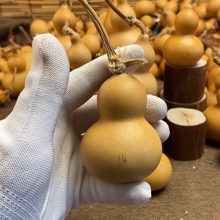 文玩葫芦 完美主义者 慎拍14