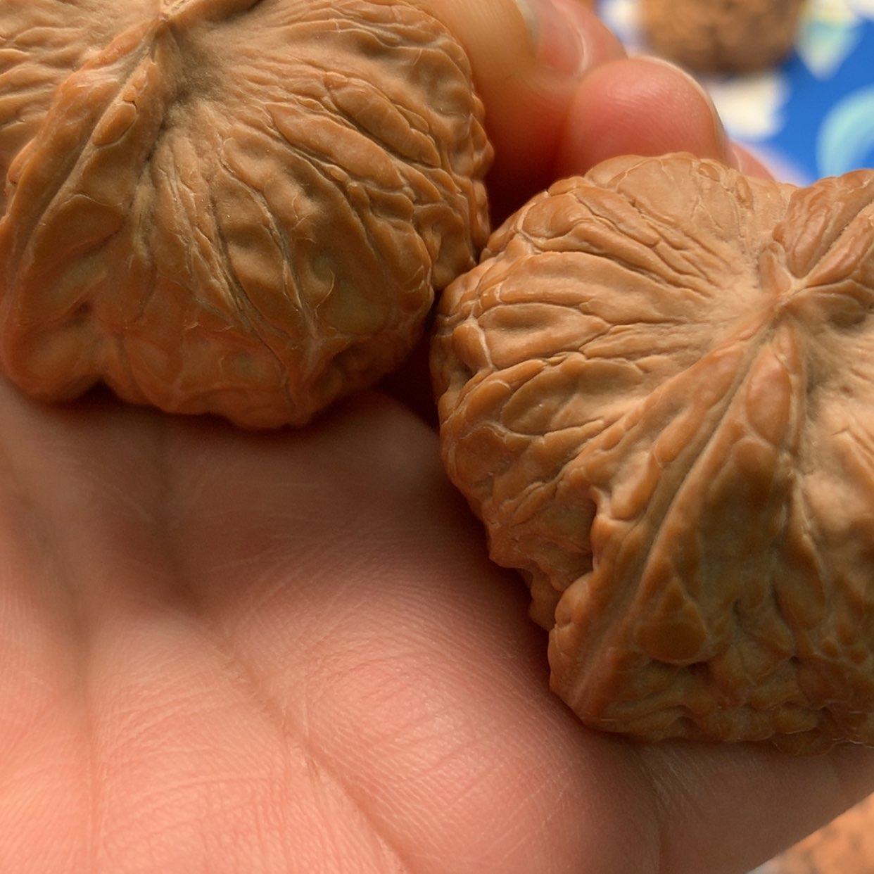 【闪购商品】文玩核桃吊坠莲***禅元宝44