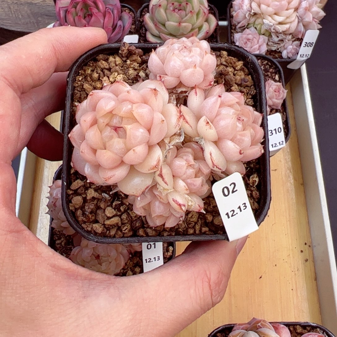 好好看02、哈哈哈哈