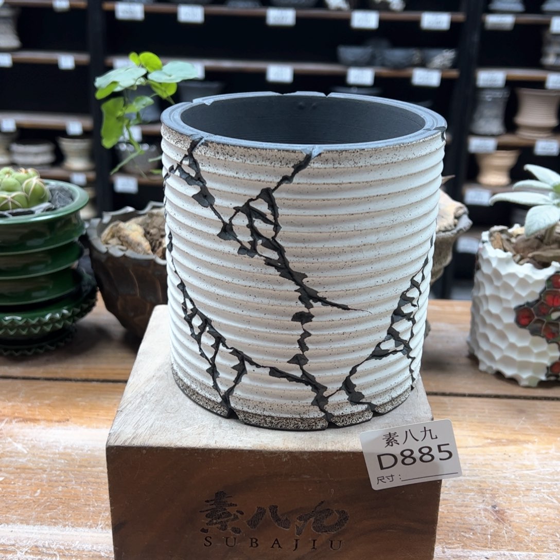 素八九陶瓷内口11.5高13