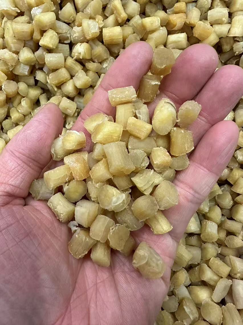 大连淡晒干贝瑶柱可煲汤煲粥蒸水蛋的海鲜特产