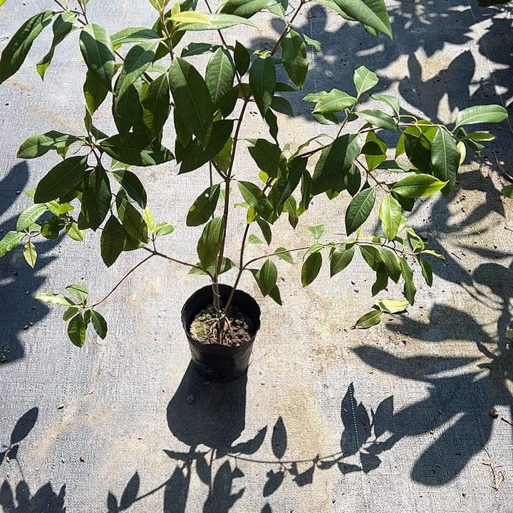 勇**人124567889999