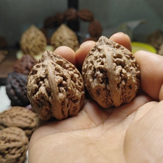 兵****把件文玩核桃东北野生文玩核桃