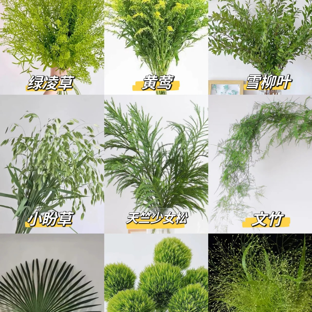 鲜花~草花（20%不售后）