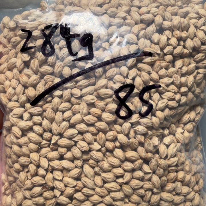 吊坠柏香籽/百香籽K***y