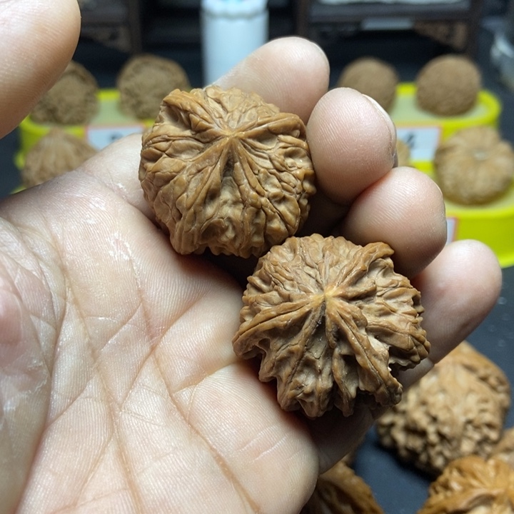 核桃喆*玉玺三棱333