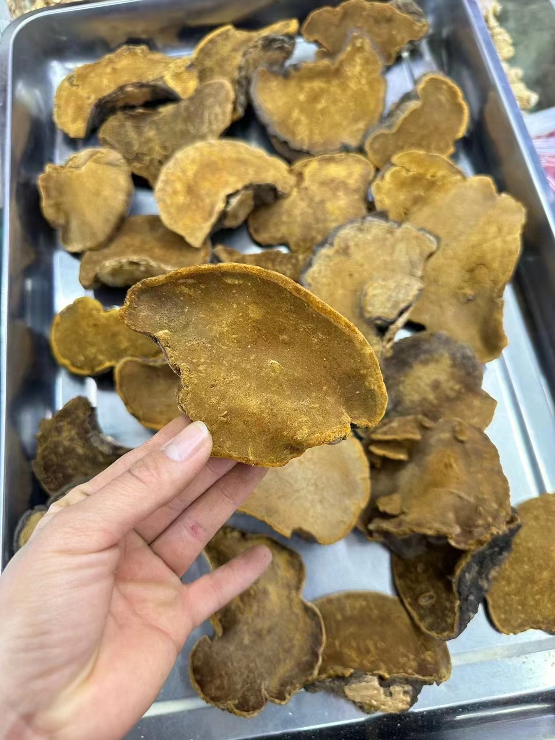 桑黄可发整个或者代切片精选好货，煮水或者煲汤