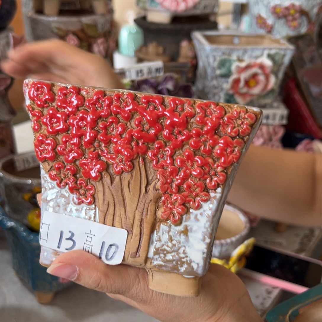 多肉花盆，满20米发货爱退款拉黑