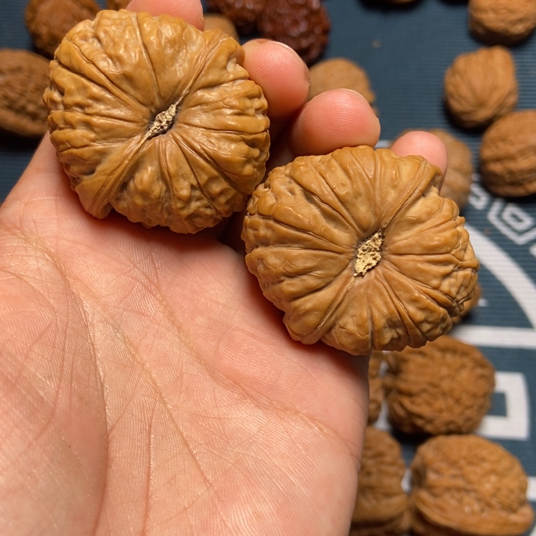 42尺全品南瓜墩白茬