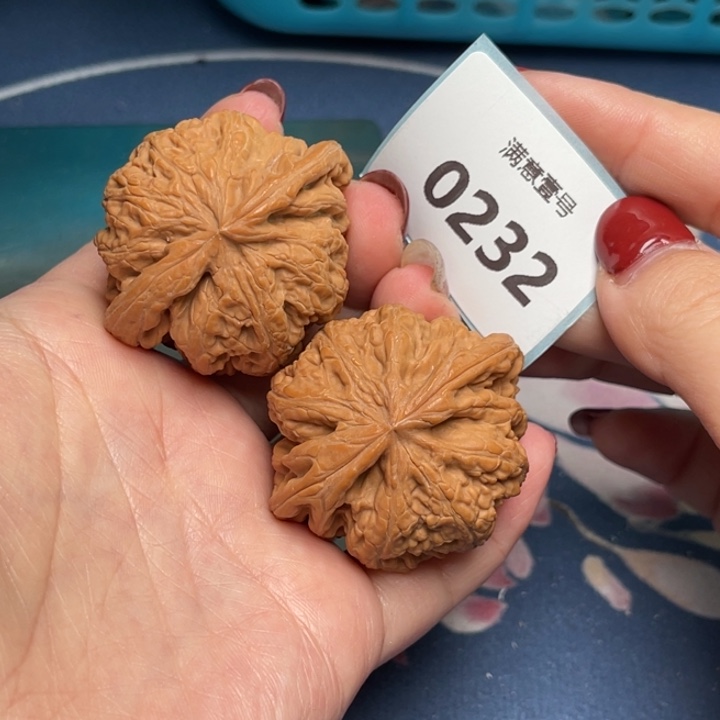 文玩核桃把件粗筋44