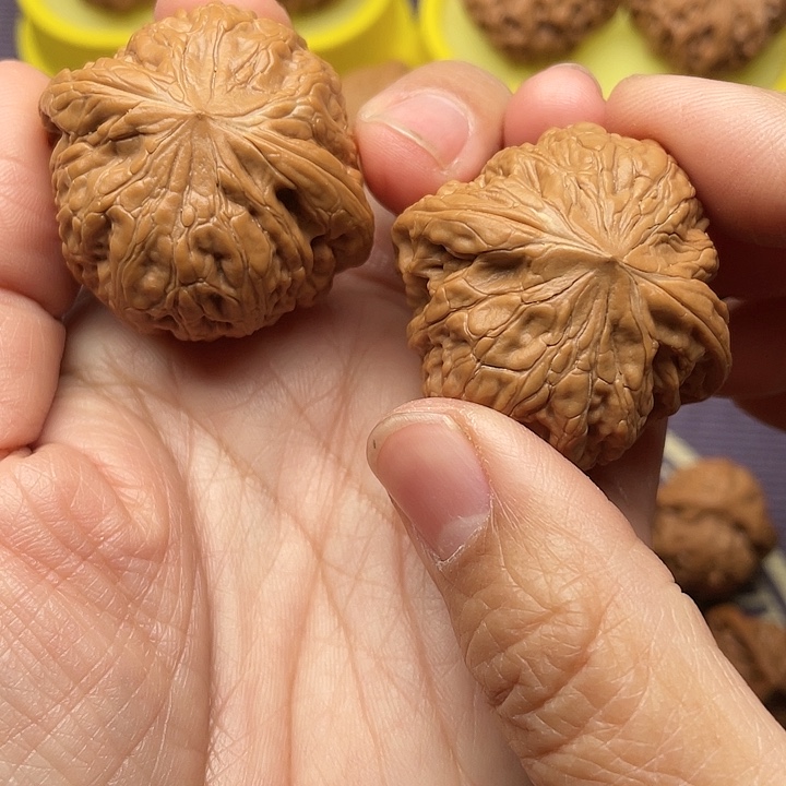 张***板核桃文玩核桃全品铁锤妹妹