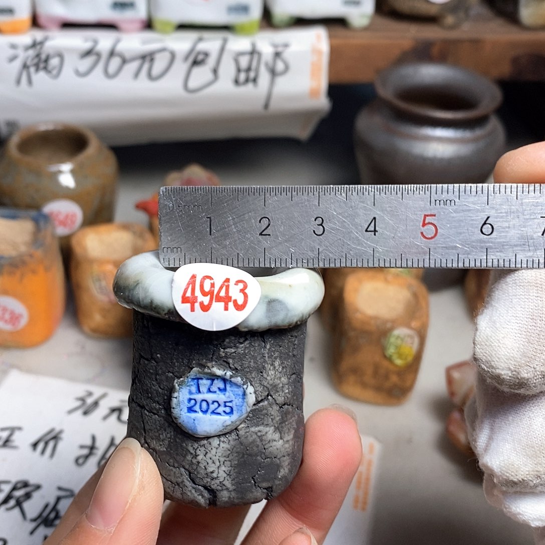 红陶拍5送一个小