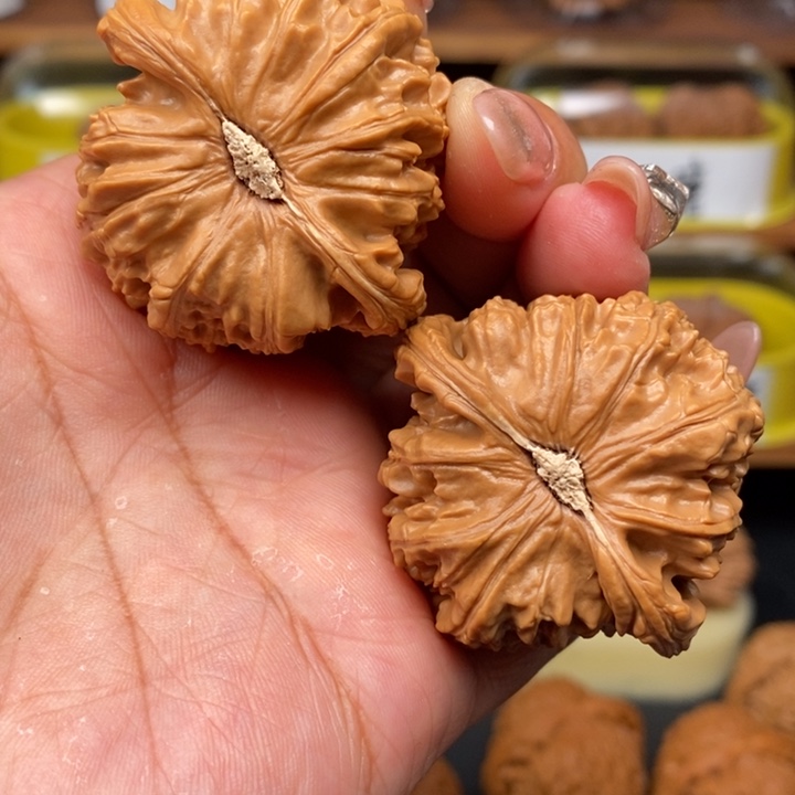 文玩核桃吊坠d*s44白狮子