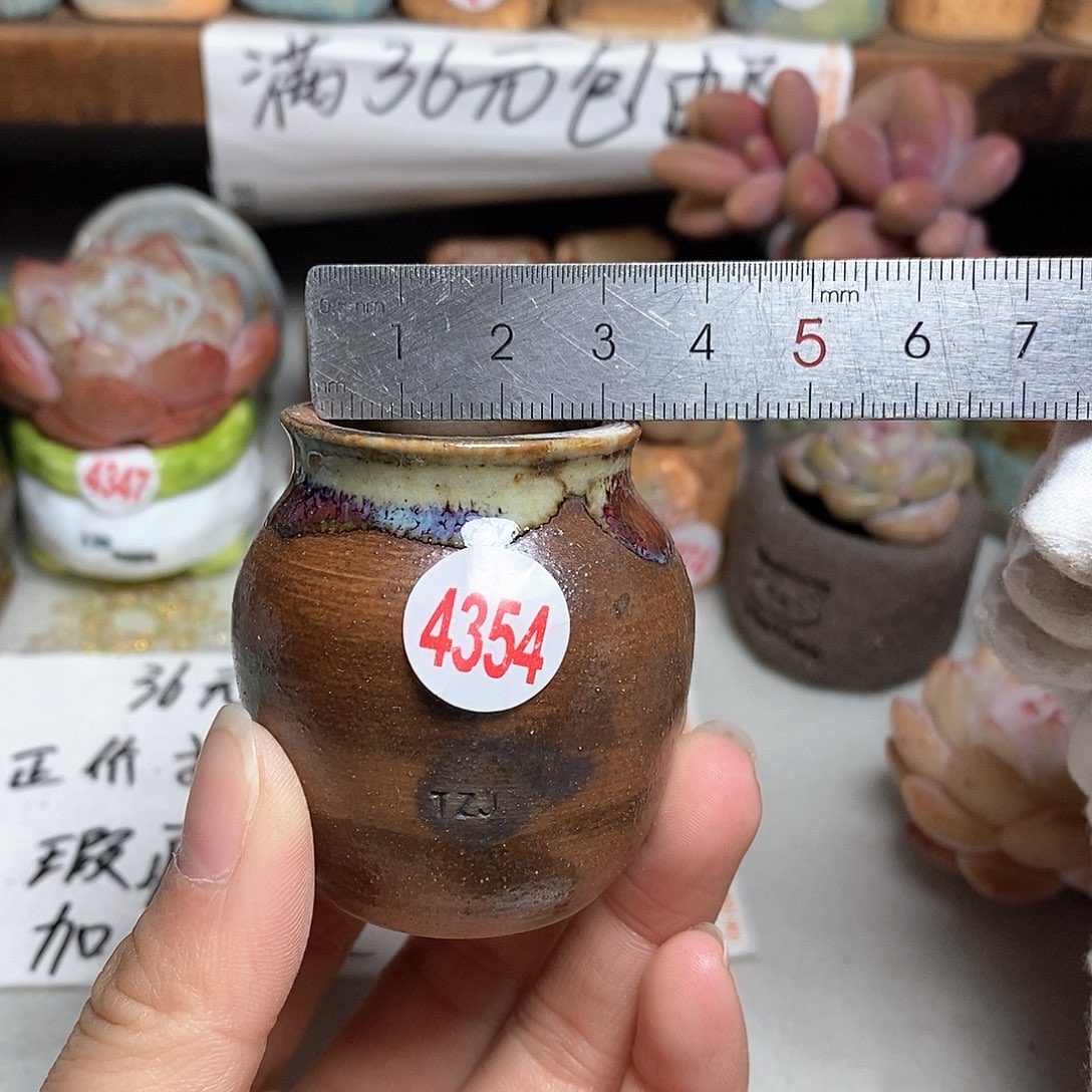 红陶拍5送一个小