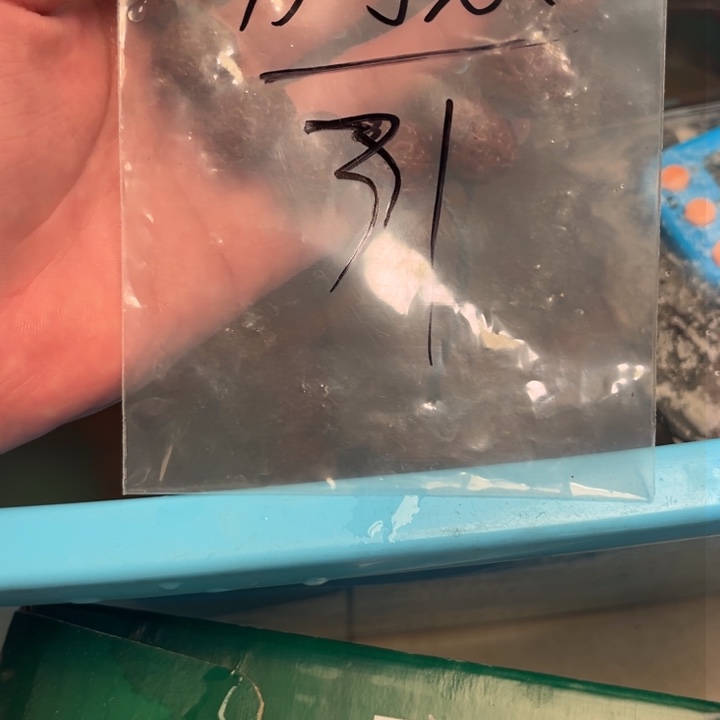 金刚菩提吊坠别****儿