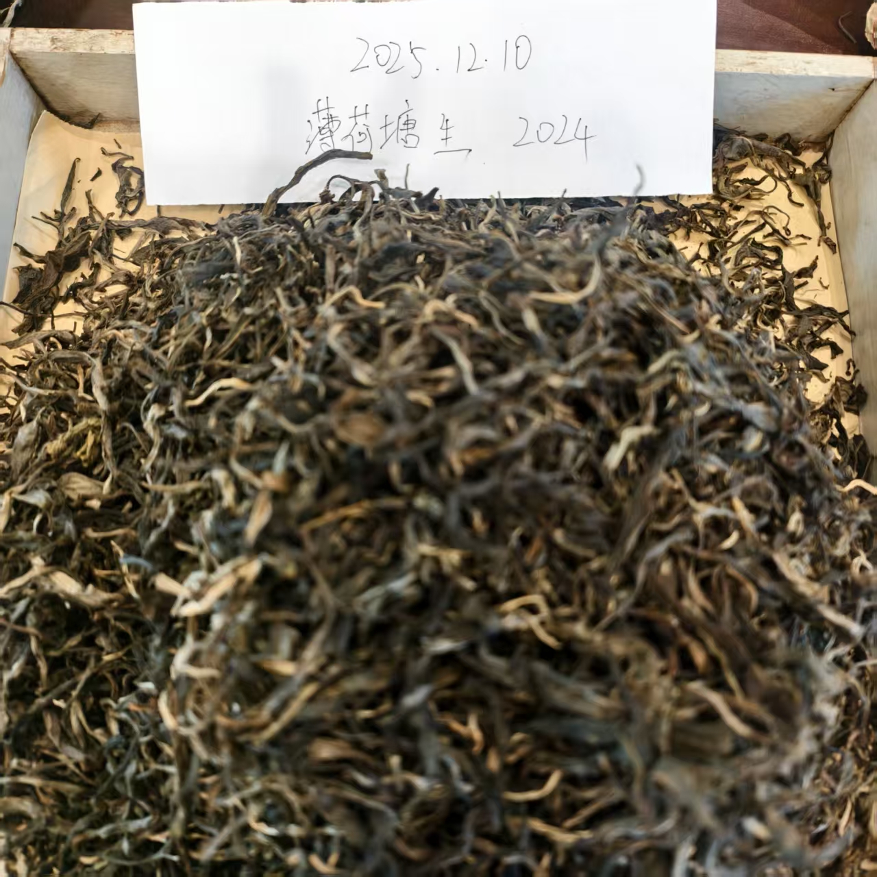 2024年薄荷塘二类普洱生茶散茶