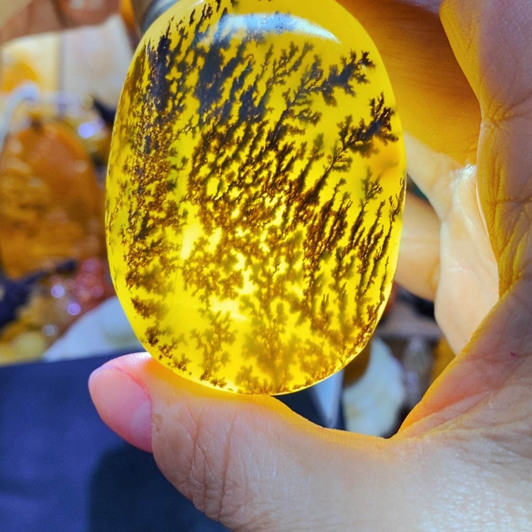 石英质玉（黄龙玉）颈饰未镶嵌