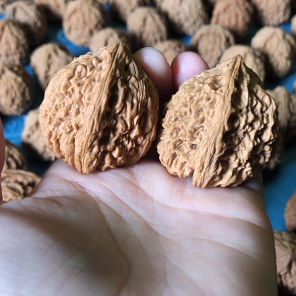 【闪购商品】文玩核桃把件一代将