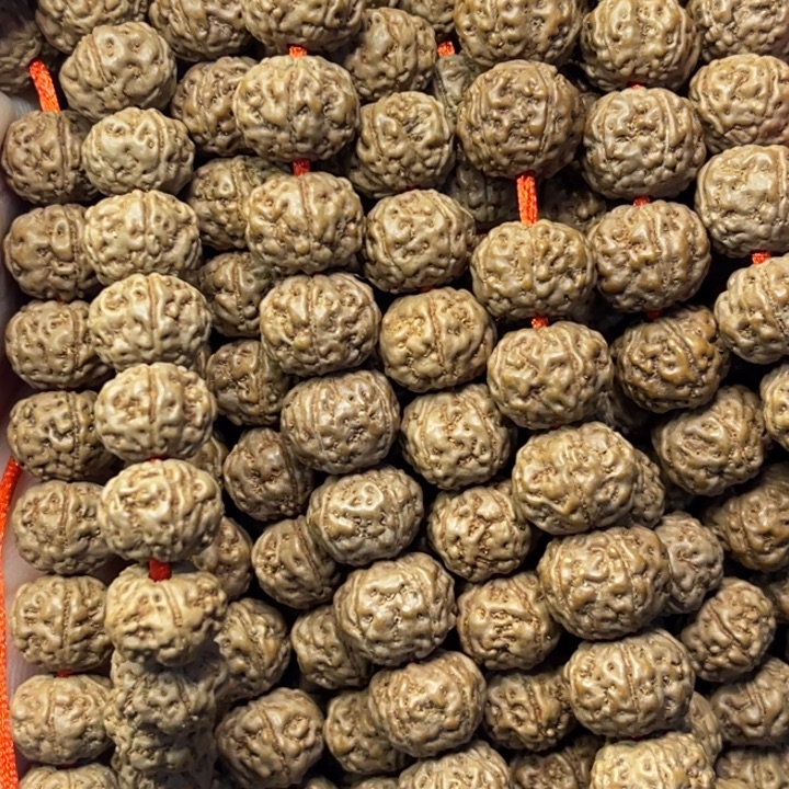 金刚菩提吊坠加不棉老树王长串保手持