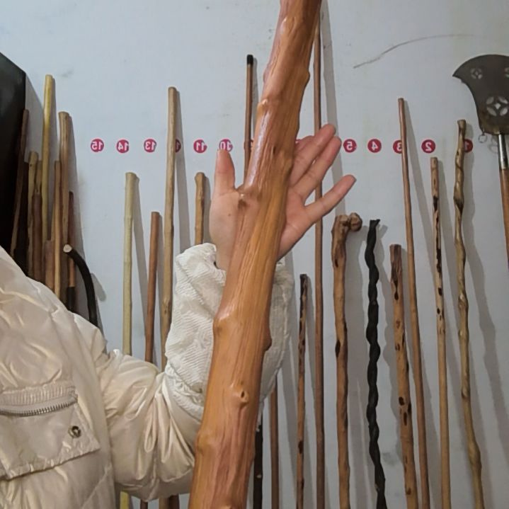 子***成原生态南对节车载