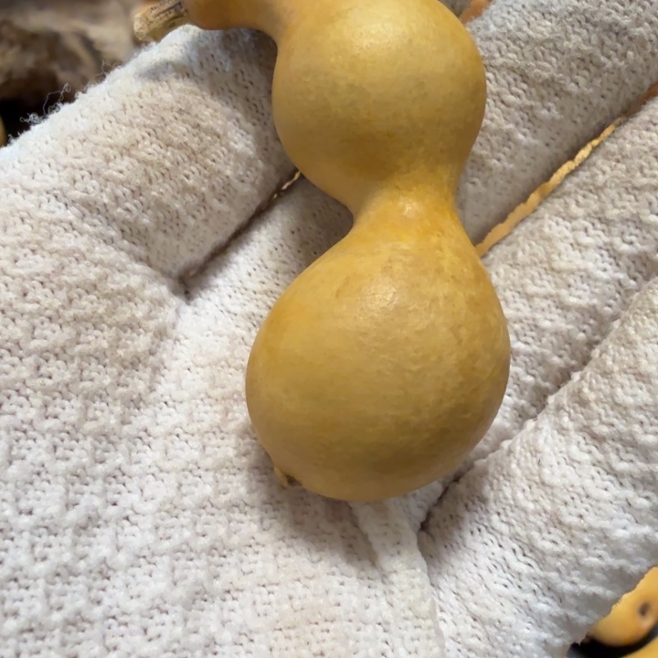 记***心6666666666677778888888