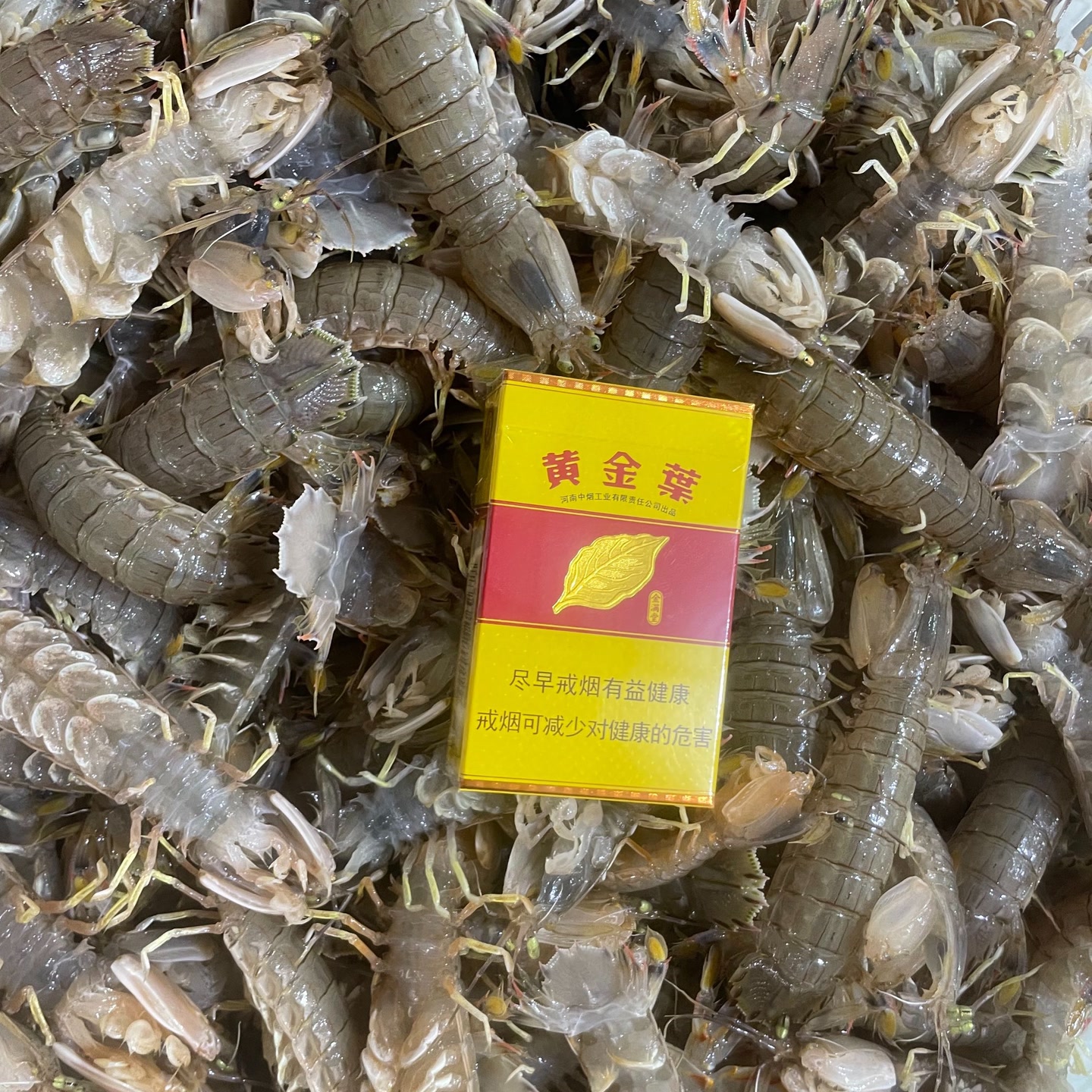 皮皮虾3斤（看好视频讲解下单）