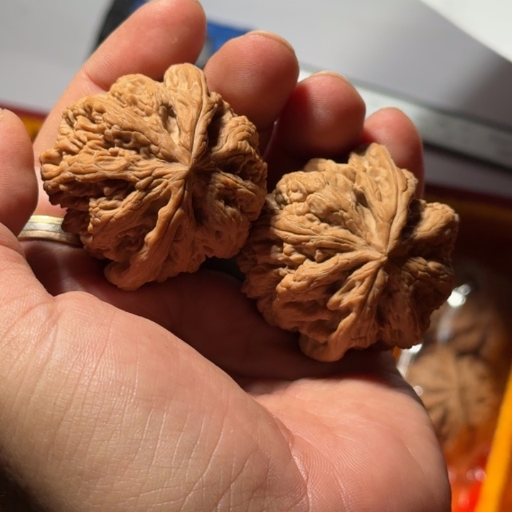 把件文玩核桃517号全品大粗筋43mm