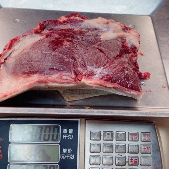 【闪购商品】冷冻保存30天包装河北省