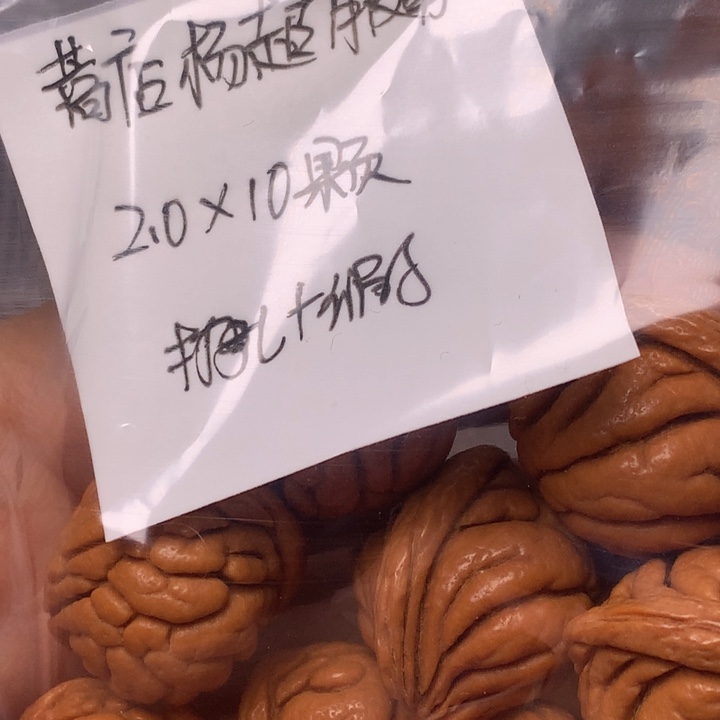 蒿***队桃木野生龙纹桃核霸王龙