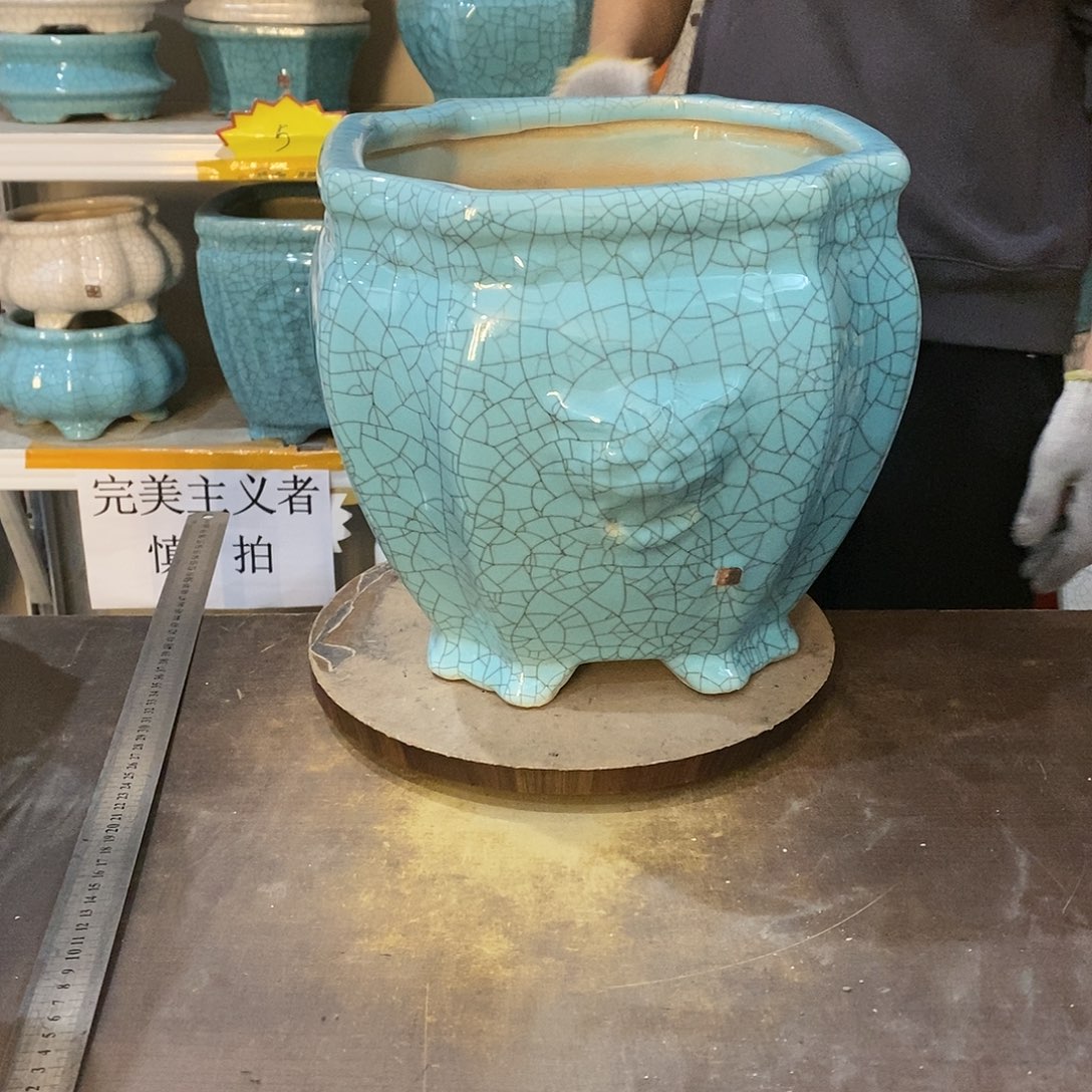 温****…瑕疵花盆花盆里的花