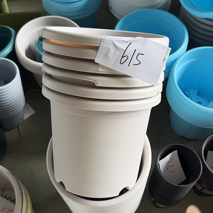 编号615瑕疵6个无托