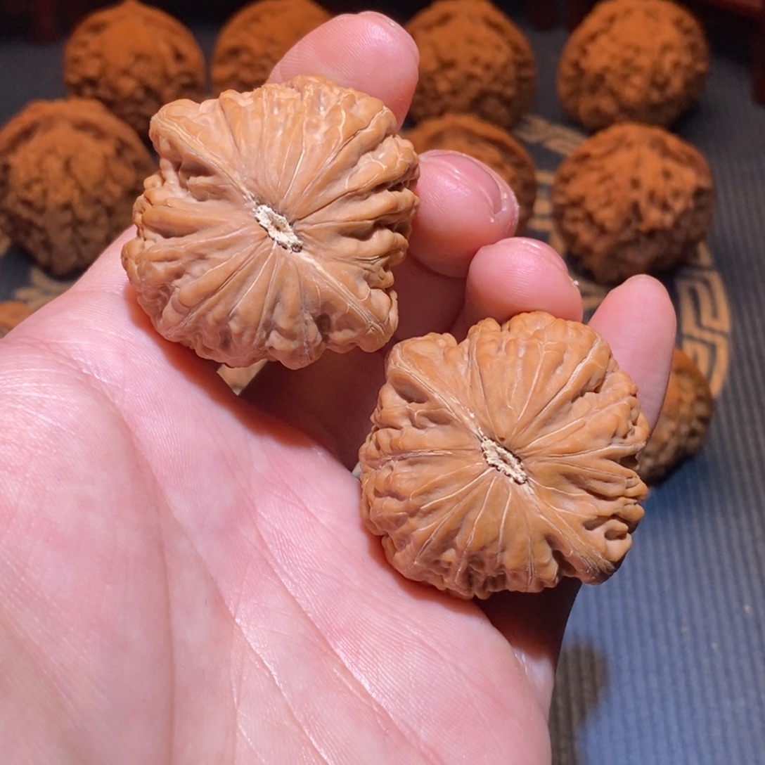 40尺 全品白茬 原桩 铁锤