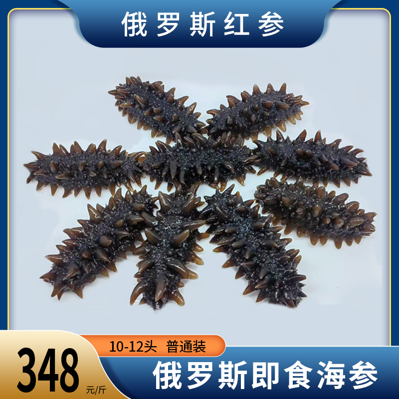 俄罗斯即食野生海参 10-12头 