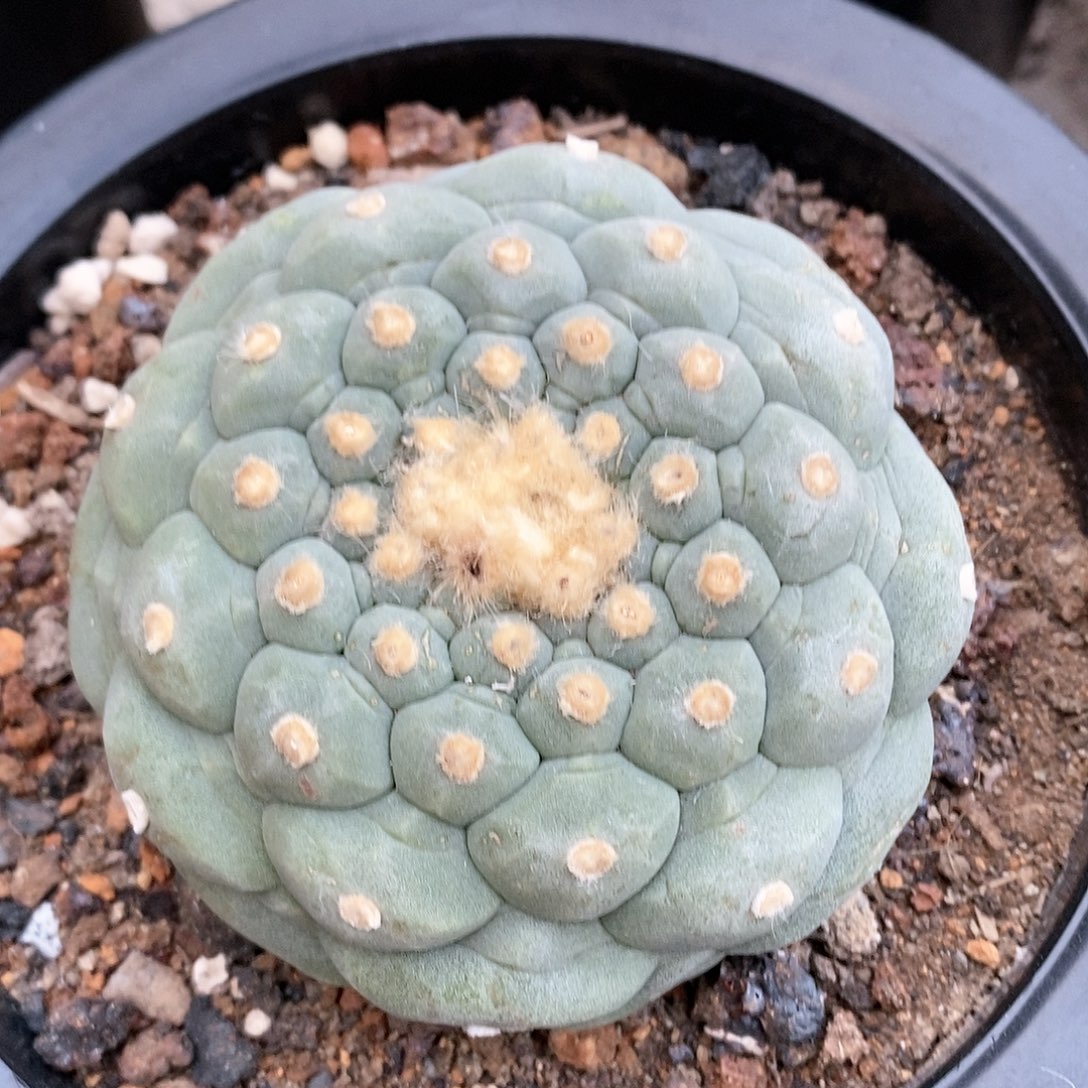 福利待遇也不错哦我