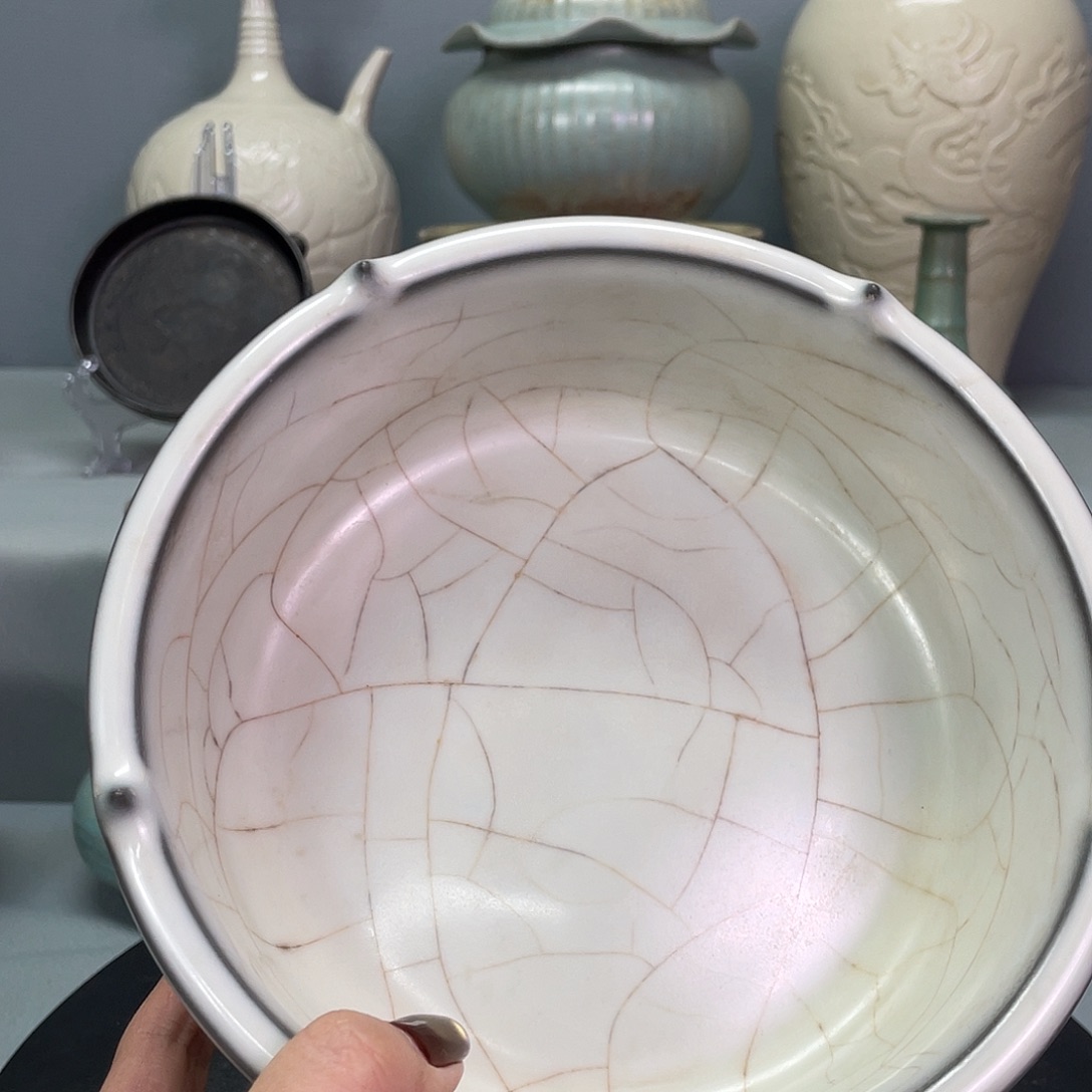 康***源盘子瓷瓷瓷瓷88888888888