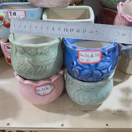 花盆111111111111111