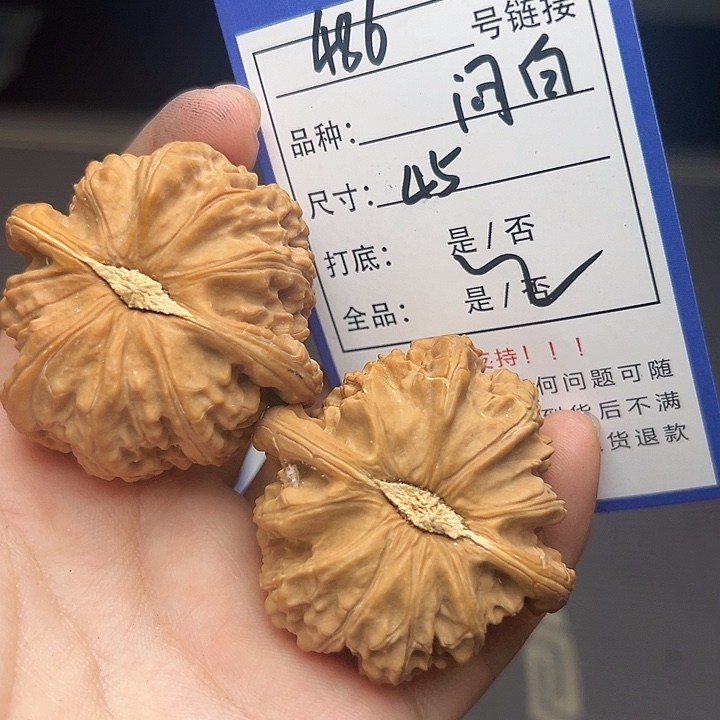 文玩核桃吊坠核桃树486