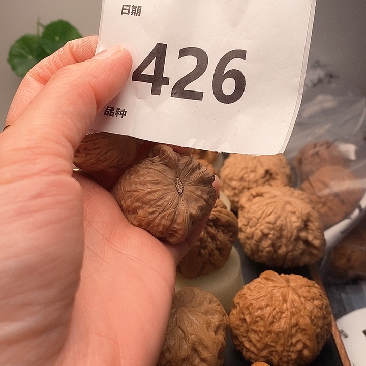文玩核桃吊坠先*乾隆磨426