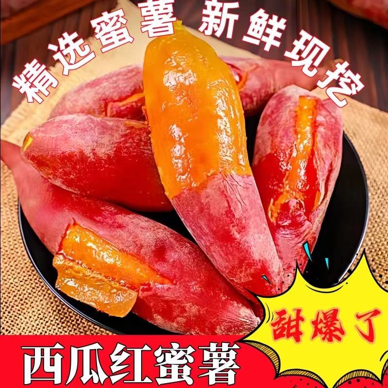 河南沙土地种植新鲜现挖正宗西瓜红蜜薯软糯香甜