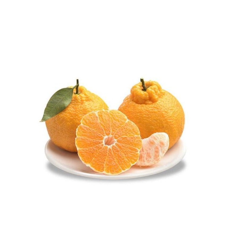 【官方补贴】中果四川春见耙耙柑果径70-75mm 净重4斤 爆汁不干（京东包邮）耙耙柑四川省四川省眉山市