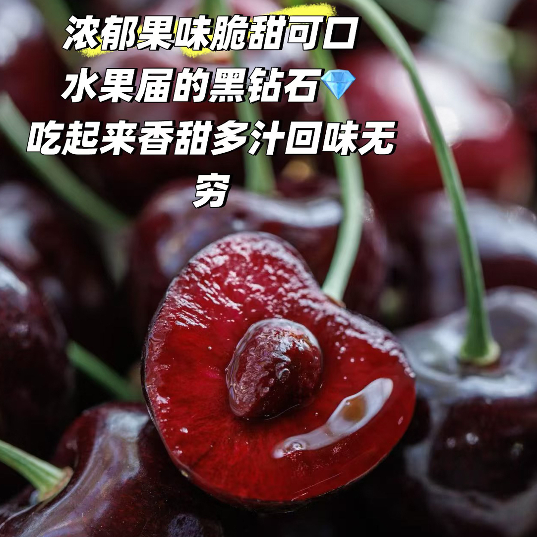 【北京闪送】智利海运2JDD桑提纳黑车厘子5斤/箱北京市