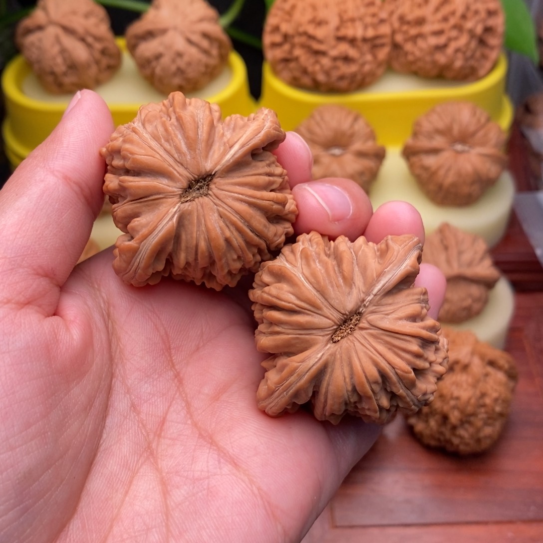 把件文玩核桃44老树红皮四座楼“大漏”