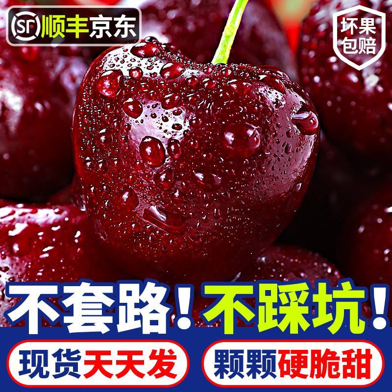 【现货速发】智利进口车厘子J-5J新鲜海运2-5斤原箱锁鲜 内附果径卡